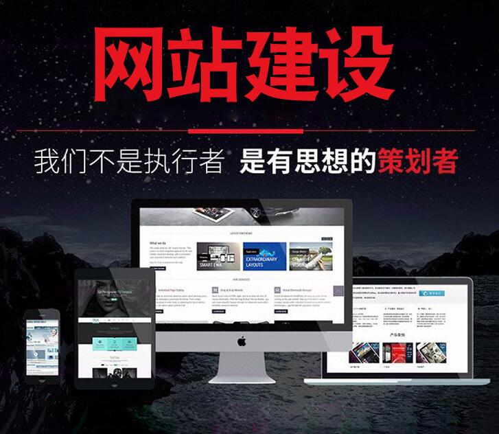 专业网站建设